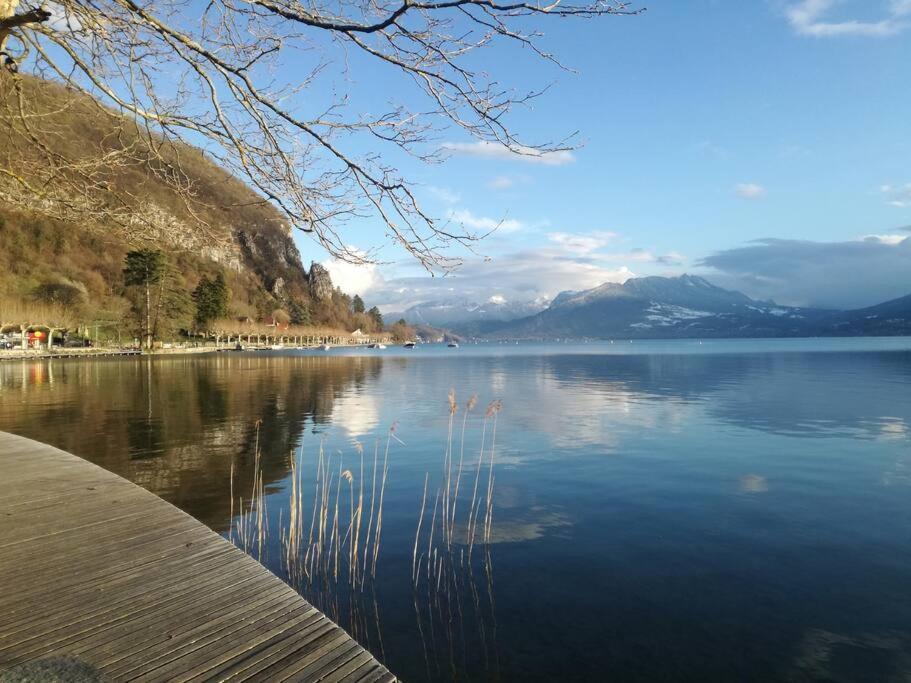 Cabana & Le Central - Proche Lac , Terrasse Et Parking Annecy Bagian luar foto