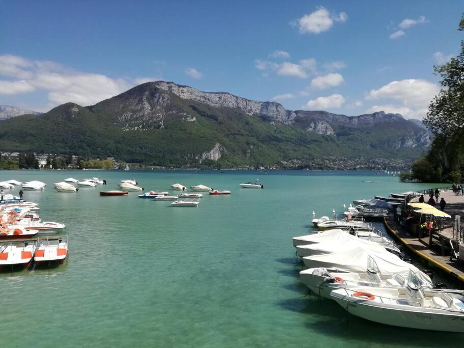 Cabana & Le Central - Proche Lac , Terrasse Et Parking Annecy Bagian luar foto