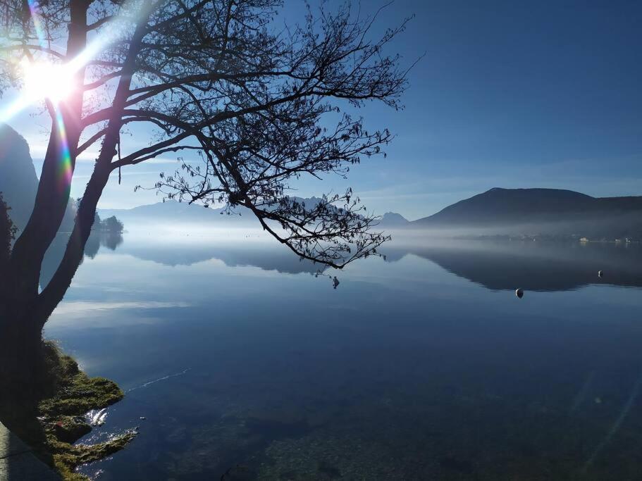 Cabana & Le Central - Proche Lac , Terrasse Et Parking Annecy Bagian luar foto